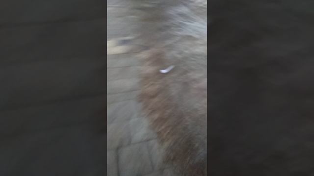 иду со школы 3 серия смотреть онлайн