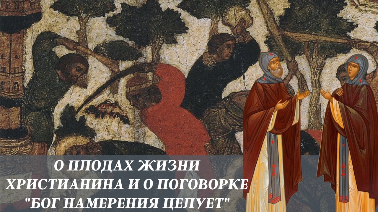 О плодах жизни христианина и о поговорке "Бог намерения целует" смотреть онлайн