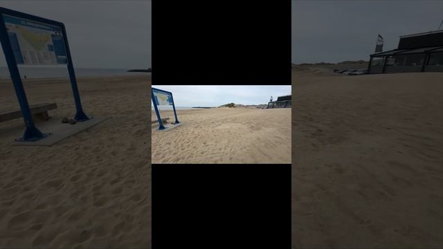 Пляж в Нидерландах. Поиски морских котиков смотреть онлайн