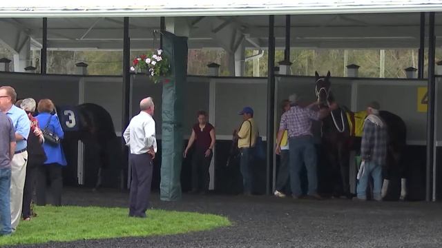 Feb 16, Race 7, The Pelican Stakes 1 смотреть онлайн