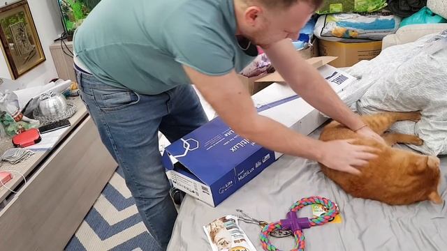 Мужик я или нет смотреть онлайн