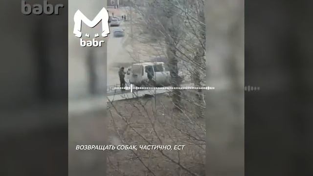 ужасно творят смотреть онлайн