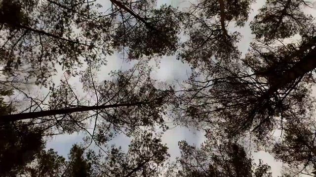 Mira -Urszula Duchaczek смотреть онлайн
