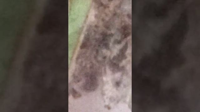 М҉У҉Р҉А҉В҉Ь҉Й҉Н҉Н҉А҉Я҉ Ф҉Е҉Р҉М҉А҉ смотреть онлайн