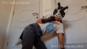 Туториал на рысь/КВАДРОБИКА (от Иркис)