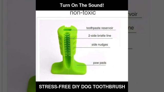 STRESS-FREE DIY DOG TOOTHBRUSH смотреть онлайн