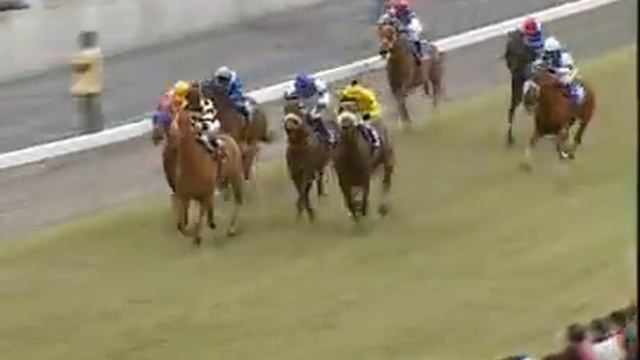Day 25 Race 5 - CHIEF MAMBO - J.Geroudis смотреть онлайн