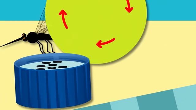 PSA - Mosquito Prevention - SCDHEC смотреть онлайн