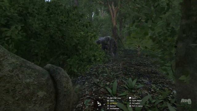 Almost called in Napalm strike on us | Battle of LZ Pickle | ArmA 3 UNSUNG Vietnam Mod смотреть онлайн