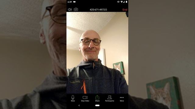 Zoom call controls on Android Devices смотреть онлайн