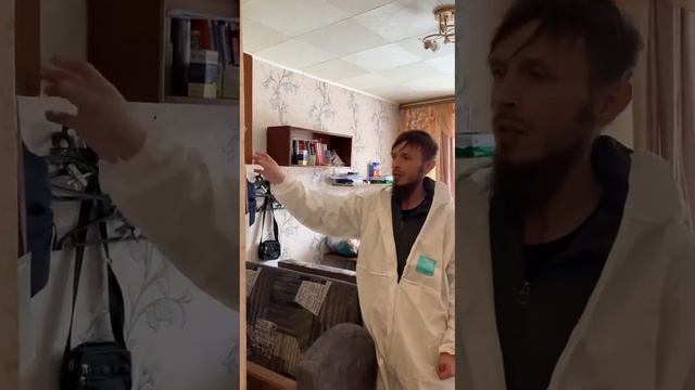 Как уничтожить клопов за один день?