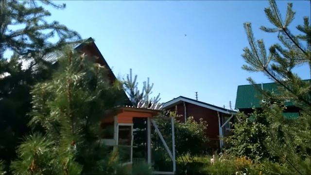 Тренинг молодой Таклы на Вологодчине смотреть онлайн