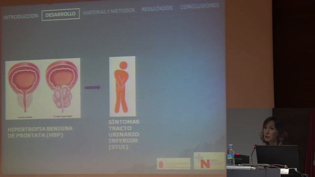 Comunicaciones Científicas en CIMER 17 смотреть онлайн