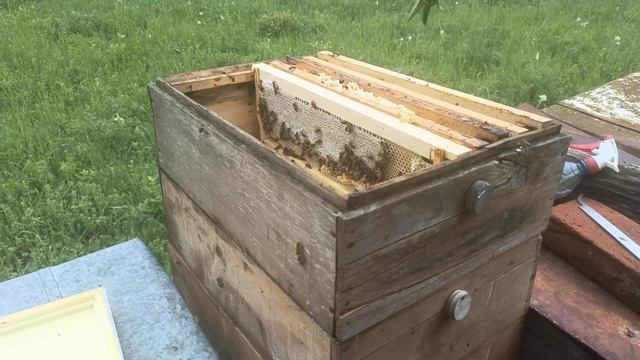 1 июня 2024 г. смотреть онлайн