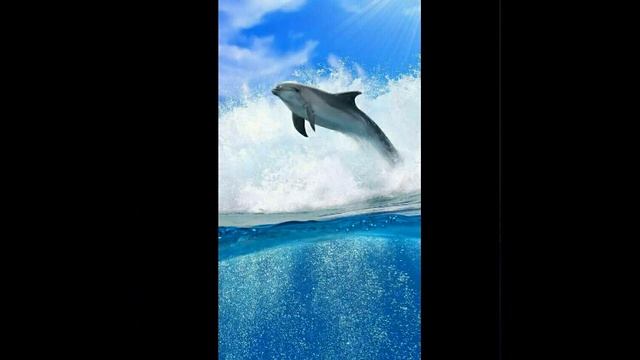 Blue whale song смотреть онлайн