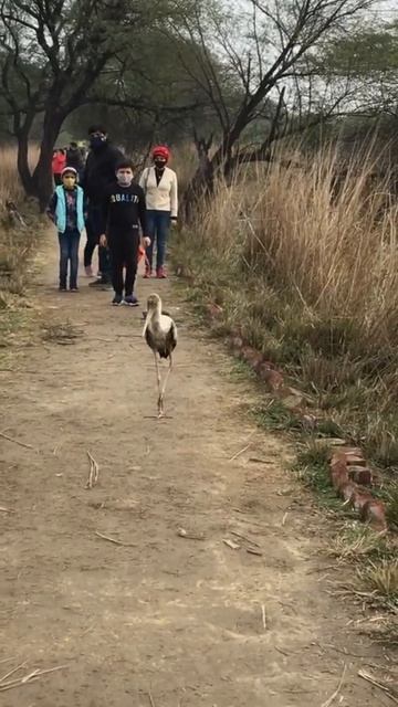 "Rasta Block Kar Diya !! #shorts #RoaringBorderlands#viralshorts" смотреть онлайн