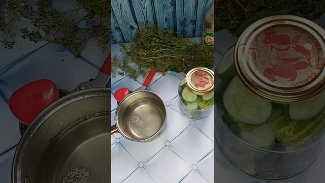 ҚИЯР ЖАБУ ТӘСІЛІ смотреть онлайн