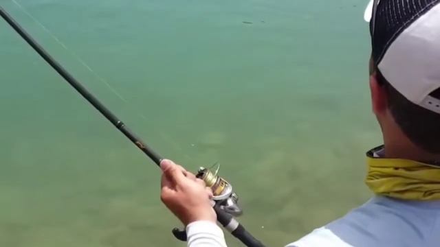 Fishing in Karun Dam and Catching an Amazing Fish (King Barbus)-IRAN смотреть онлайн