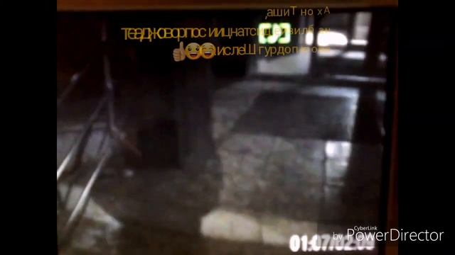 #овчаркадрессировка.Закрепление команд в свободном движении(без поводка) смотреть онлайн