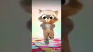 Котики танцуют