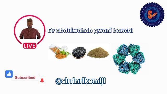 MAGANIN CUTAR SIKILA ( YARA DA MANYA ) смотреть онлайн