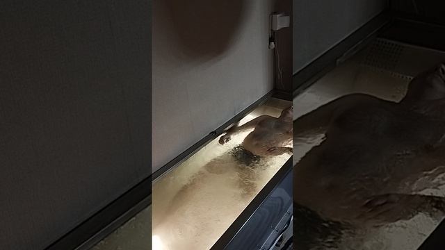 Ванна для флайпампинга.