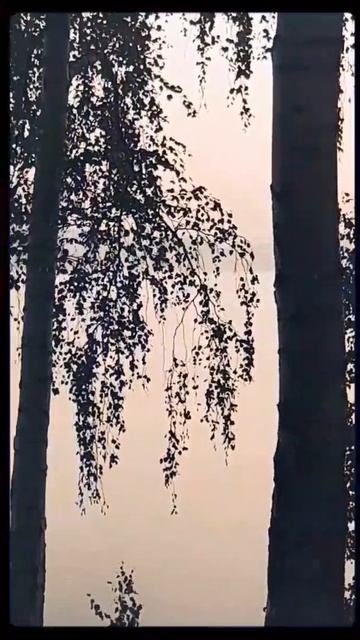 Если проснуться в 5 утра ,то можно увидеть чудесный рассвет 🌞🥰 смотреть онлайн