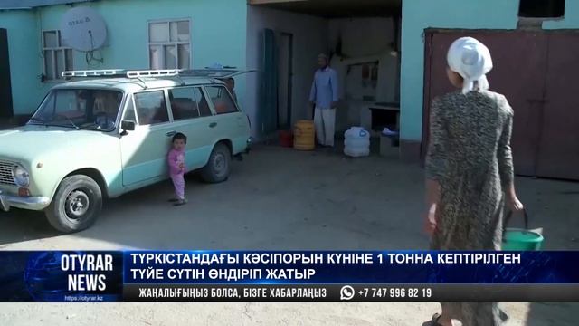 Түркістандағы кәсіпорын күніне 1 тонна кептірілген түйе сүтін өндіріп жатыр смотреть онлайн