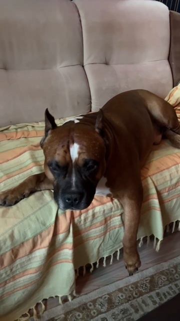 Как зовут тебя , сын Пилея ? смотреть онлайн