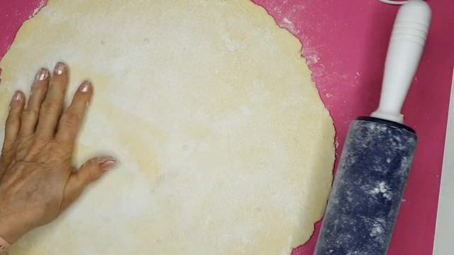 Zany Zebra Adventures