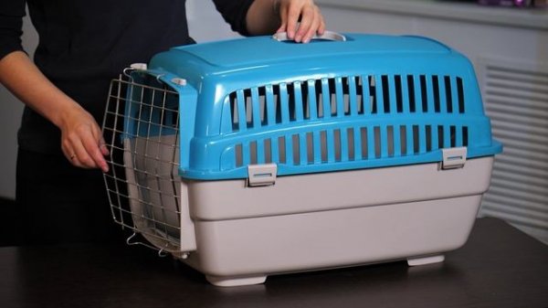 Обзор переносок от бренда My Pets Solutions