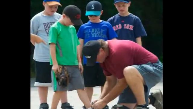 Ted Williams / Steve Ferroli Instructional Baseball Video смотреть онлайн