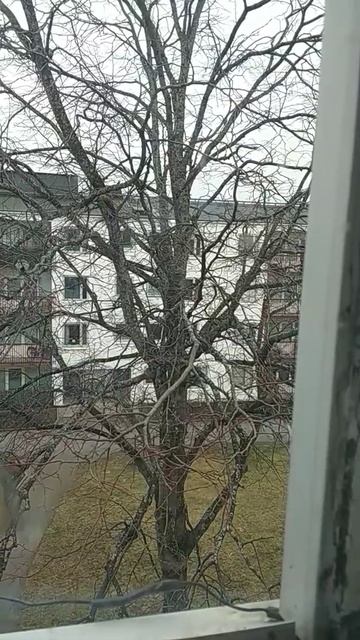 1 March 2022 смотреть онлайн