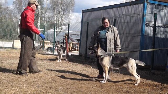 ГП Истра (2), 24.04 смотреть онлайн