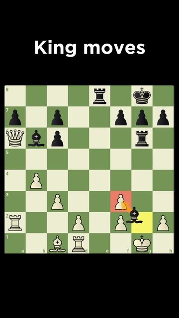 Paul Morphy Sacrifices Queen In Ohio #chess #shorts #viral смотреть онлайн