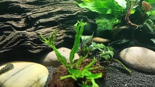 6 февраля 2021 г. смотреть онлайн