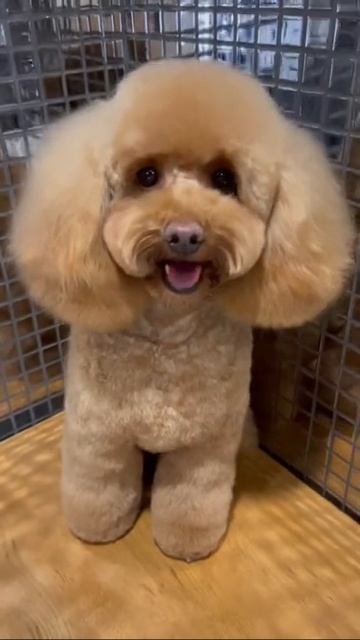 26 апреля 2022 г. смотреть онлайн