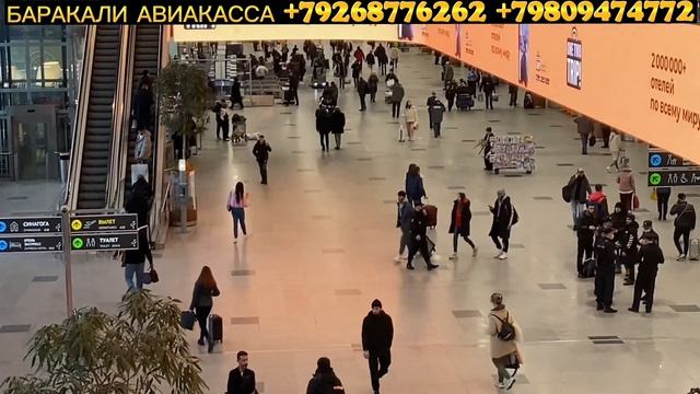 Хамма курсин Домодедово нима ахволда . Срочно 🚨 смотреть онлайн