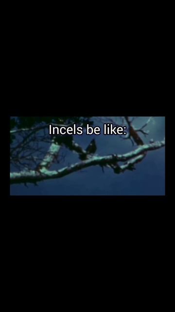 Kauai o'o bird incel meme смотреть онлайн