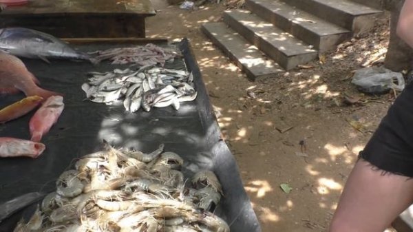 Шри-Ланка апрель 2024