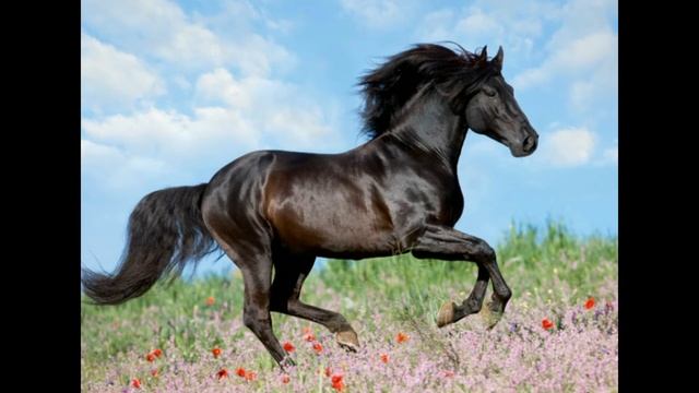 Powerful Nasheed! Мощный нашид! Islamic Nasheeds