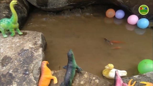 Menangkap Ikan, Ayam Warna Warni, Kelinci, Bebek, Ikan Hias , Ayam ,ikan Mas,50