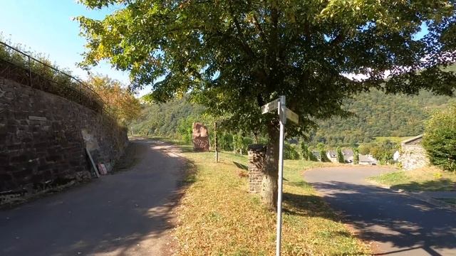 365 km auf dem Moselsteig (Tag 9) смотреть онлайн