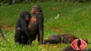 полюби меня