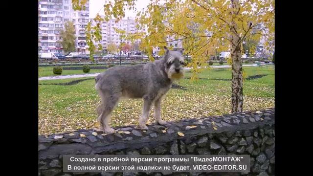 Найти..... крота ;) смотреть онлайн