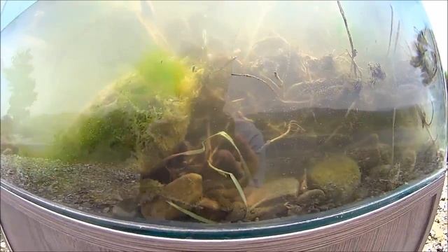 #BADC2018 / Little puddles of water near Mejuda River, Gori, Georgia, Caucasus, 77 L смотреть онлайн