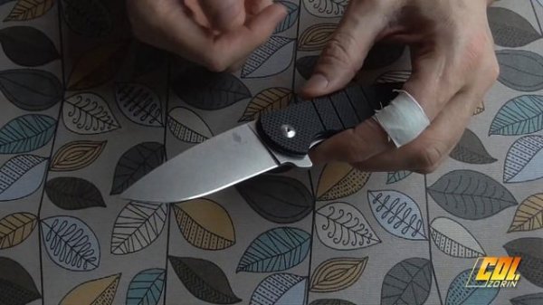 Kizer "Gemini" vg-10