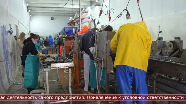 08.09.2024 Слово прокурору смотреть онлайн