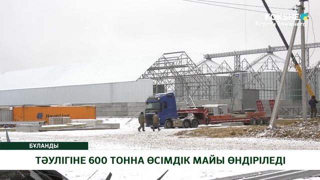 ТӘУЛІГІНЕ 600 ТОННА ӨСІМДІК МАЙЫ ӨНДІРІЛЕДІ смотреть онлайн