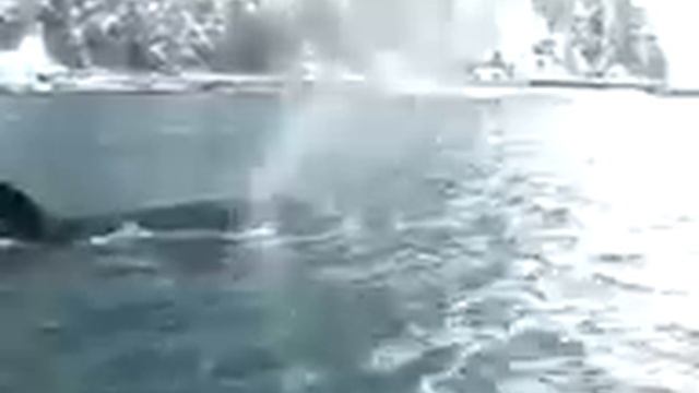 касатка смотреть онлайн